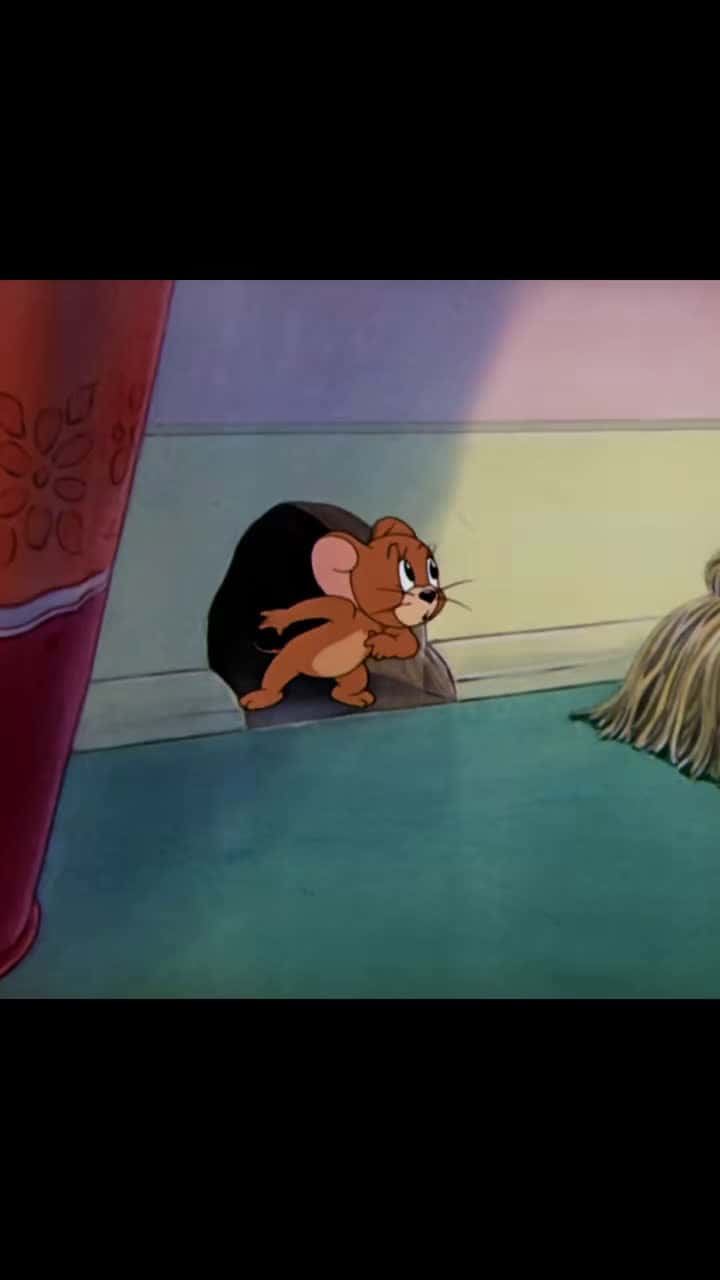Cover for 68-#cartoon #tomandjerry #animation 
