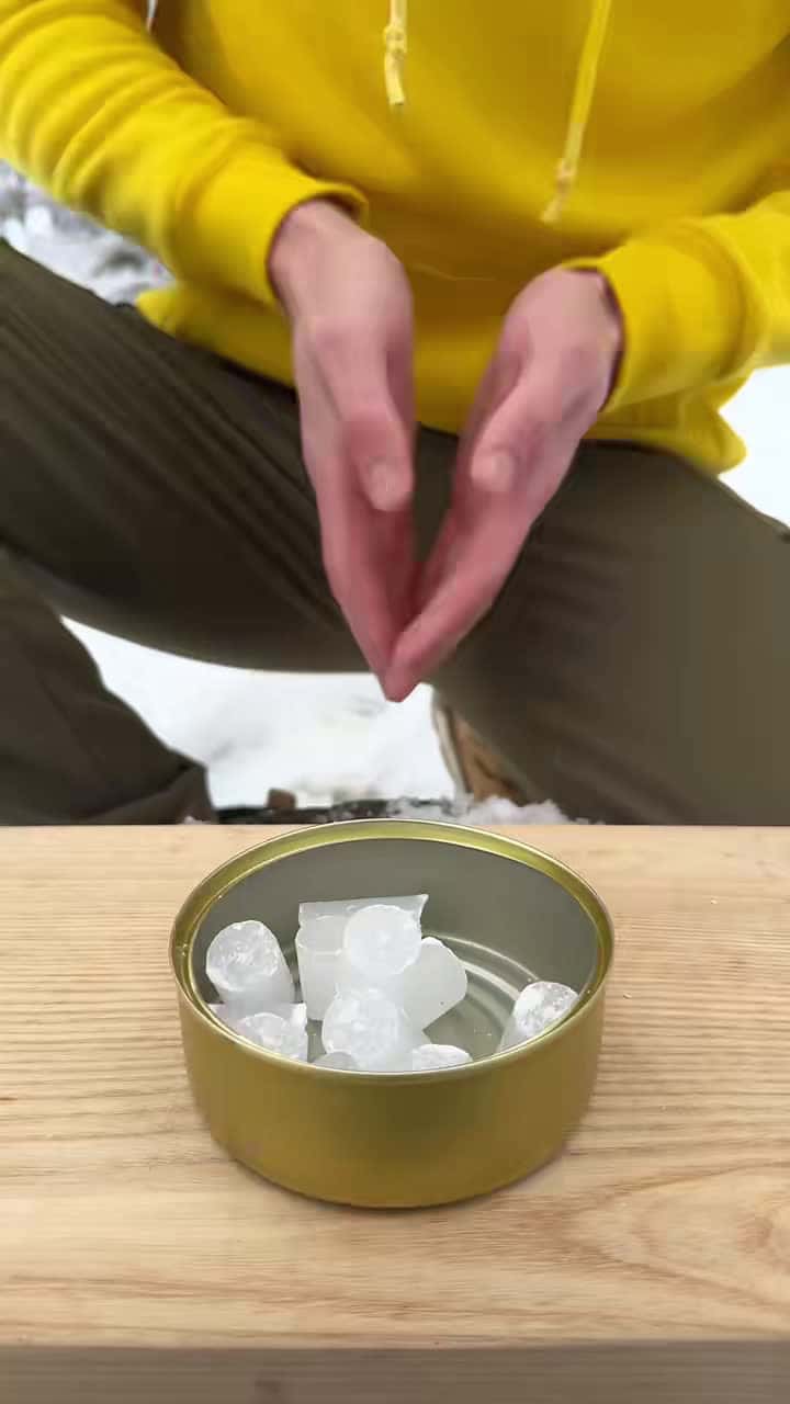 Cover for Survival Skills: Made Wax Packets #survival #forest #outdoors #camping #lifehacks