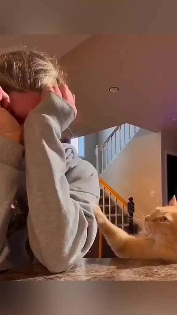 Cover for loving Animal, so lovely to watch.