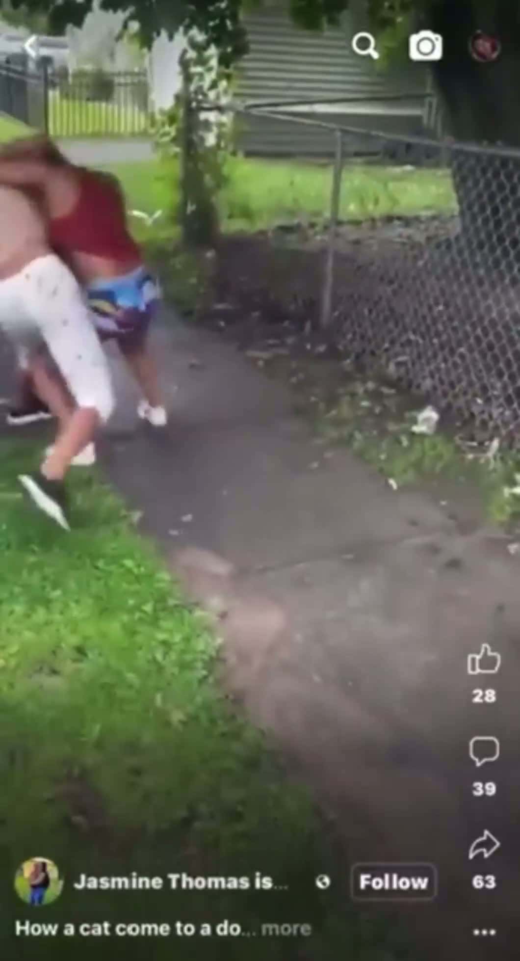 Cover for 2 THOTS square up. Blood warning!#CaughtOnCamera #fight #knockout #sleeping #sleep #fade #drunk #punch #police #officer #policebrutality #viral #viralvideo #dead #die #WildestKarenKen #ghetto #hood #fyp