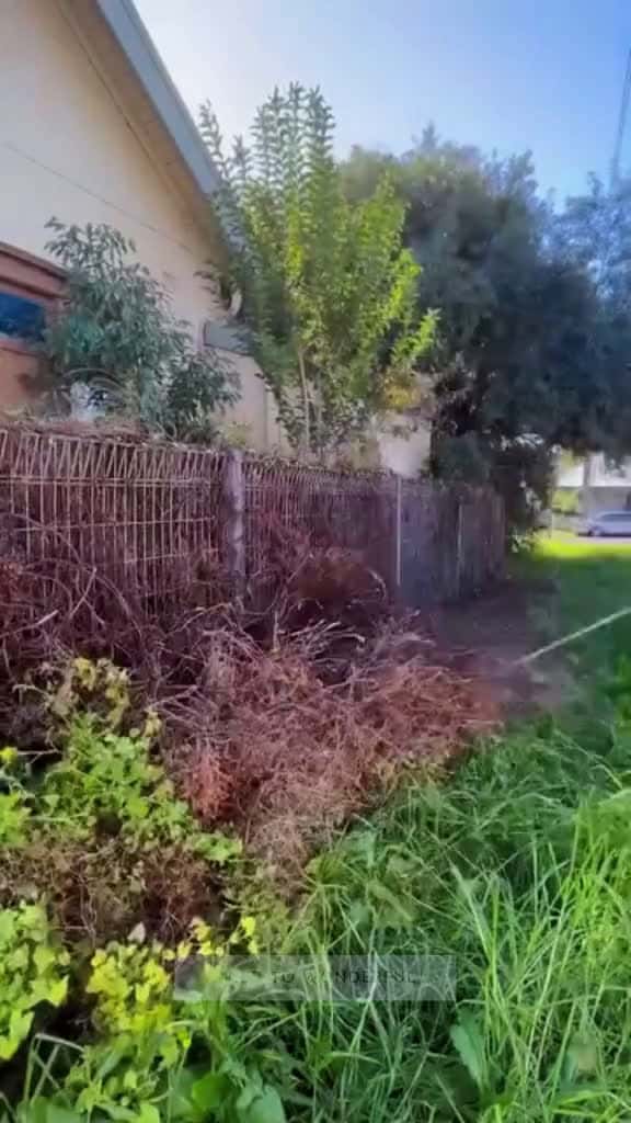 Cover for You ll never guess the truth Wait till the end to find out garden gardentok cleaning clean 61838 #shortvideosscoopz
