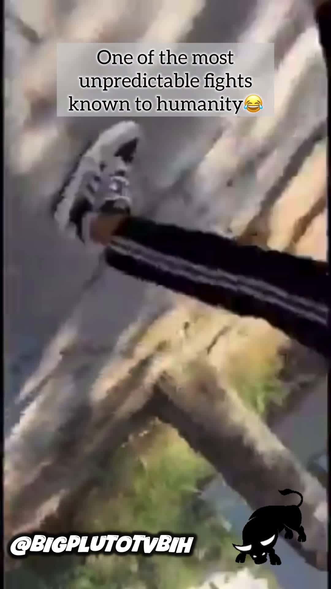 Cover for Who do yall think won that ?😂 #fights #fight #knowdown #dropped #worldstar #damn #knockout