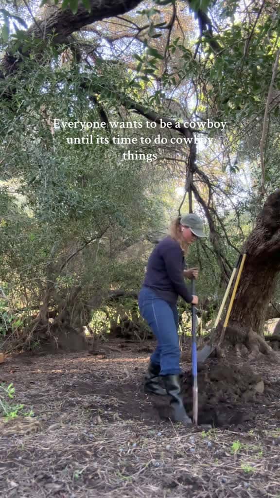 Cover for A good dog gone too soon bordercollie workingdogs petloss 14766 #trending
