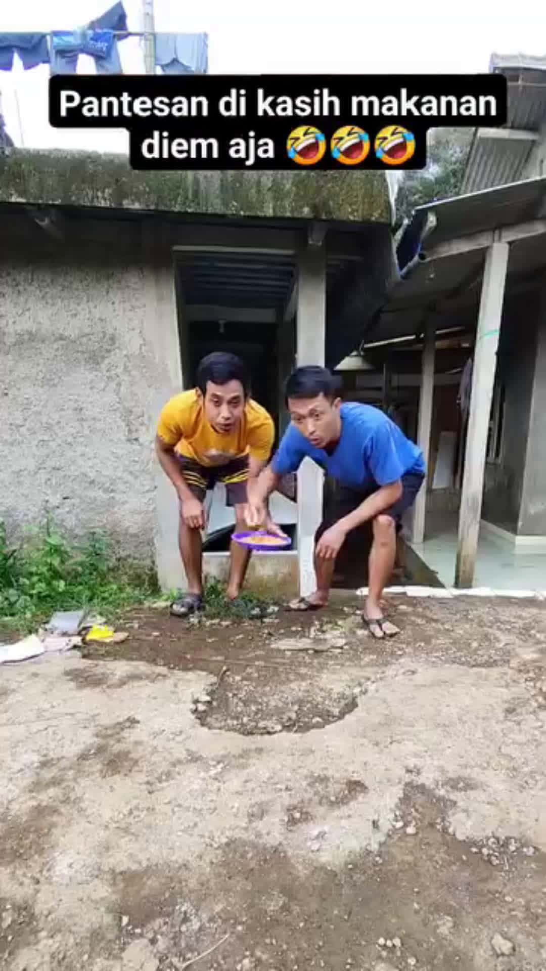 Cover for so funny 🤣🤣