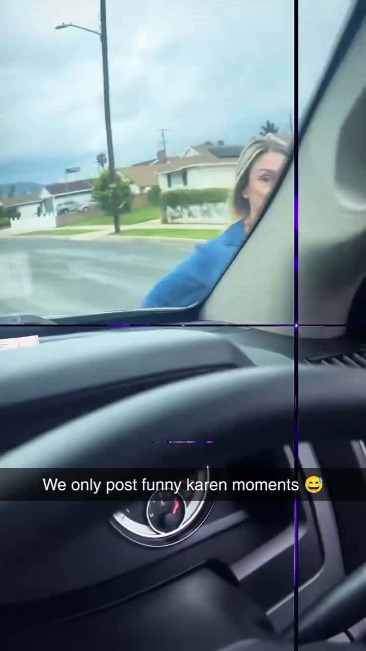 Cover for #publicfreakout  #meme  #karen