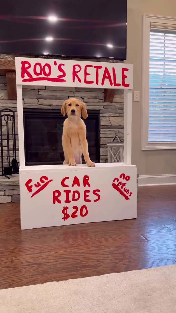 Cover for Roos Rides