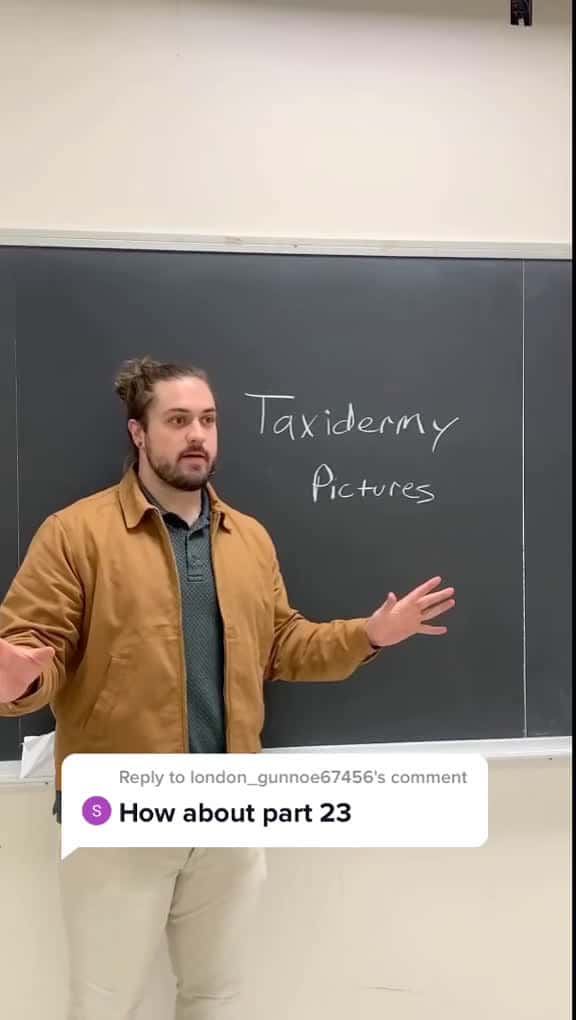 Cover for Reply to @londongunnoe67456 Deer teacher: More bad taxidermy #deer #deerhunting #teacher #school #teach #hunting #hunter #taxidermy