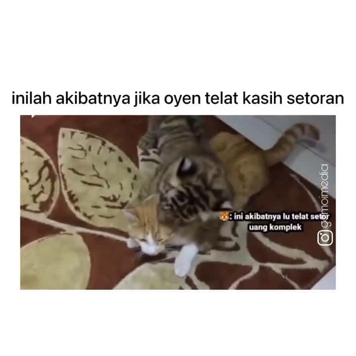 Cover for dalem hati oyen salah gerak dikit kelar hidup gw, mana malaikat maut lihat gua mulu ni