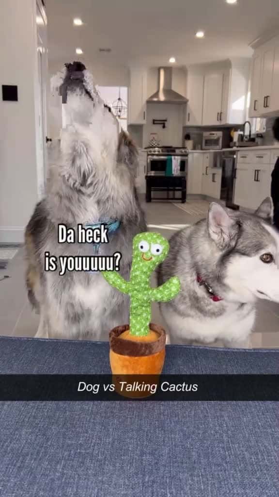 Cover for 🤣🤣🤣🤣🤣