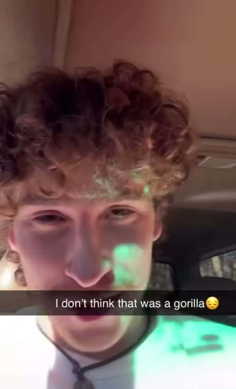 Cover for Tha gorilla got him😂