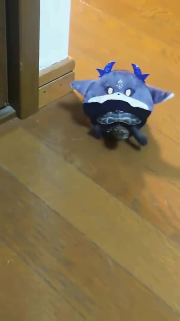 Cover for turtle cosplaying