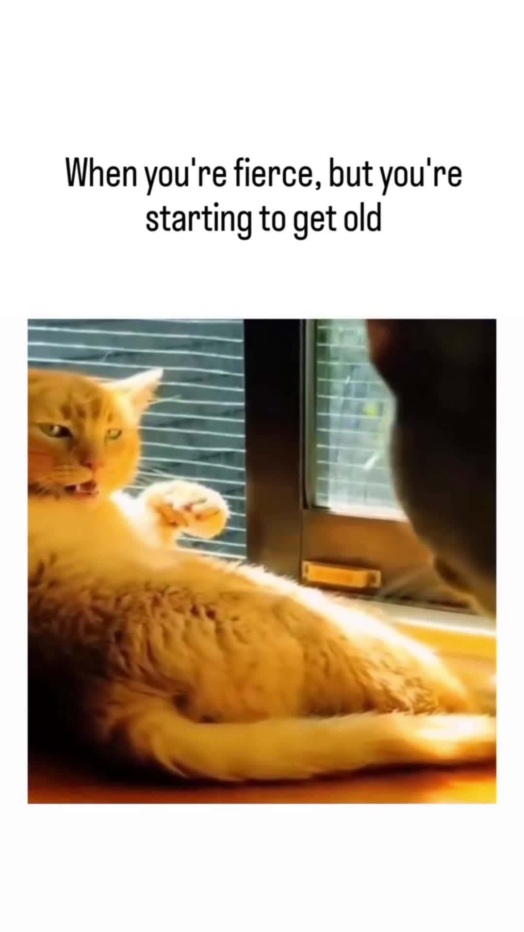 Cover for #FirstVideoChallenge " i used to do this but am getting old aah cat 😂