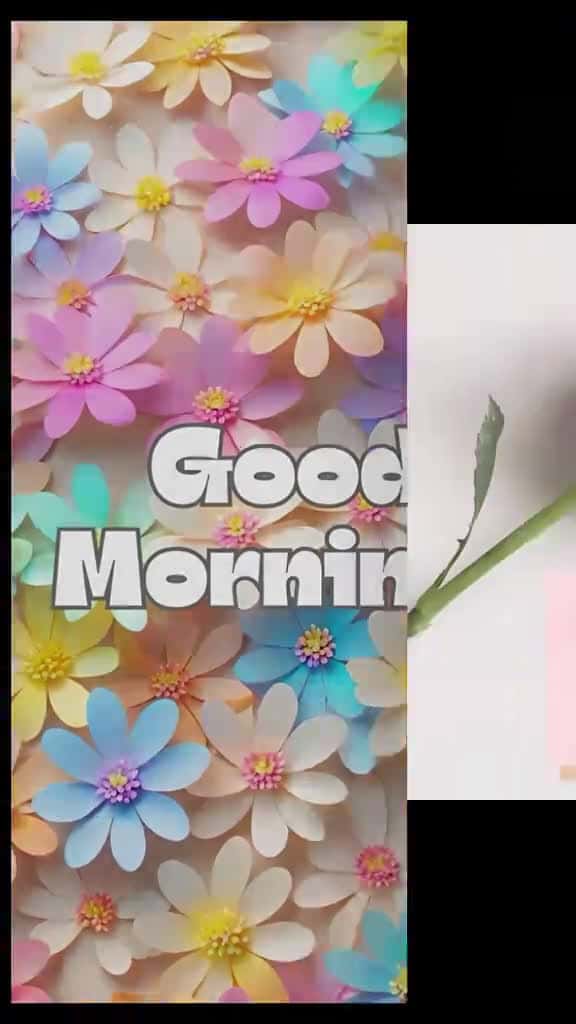 Cover for fyp fyp popular top toptrending viralvideo viraltiktok goodmorning 64831 #shortvideosscoopz