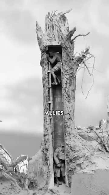 Cover for Did you know soldiers used fake trees as secret lookout posts in WWI? Discover the hidden history! 🌳 #History #WW1 #MilitarySecrets