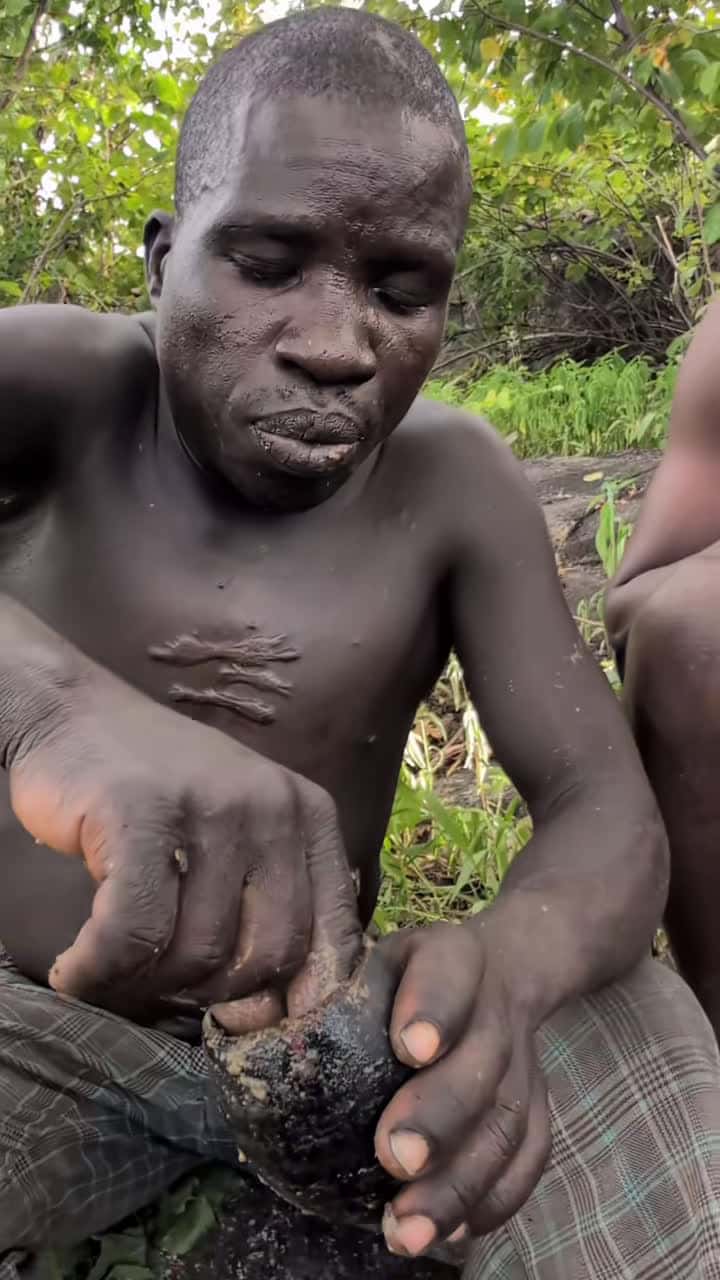 Cover for What's,,😯it's delicious meal 😋🤤‼️ bushmen Hadzabe Eating their Favorite food, Very incredible food Enjoy#culture #traditional #animals #africa