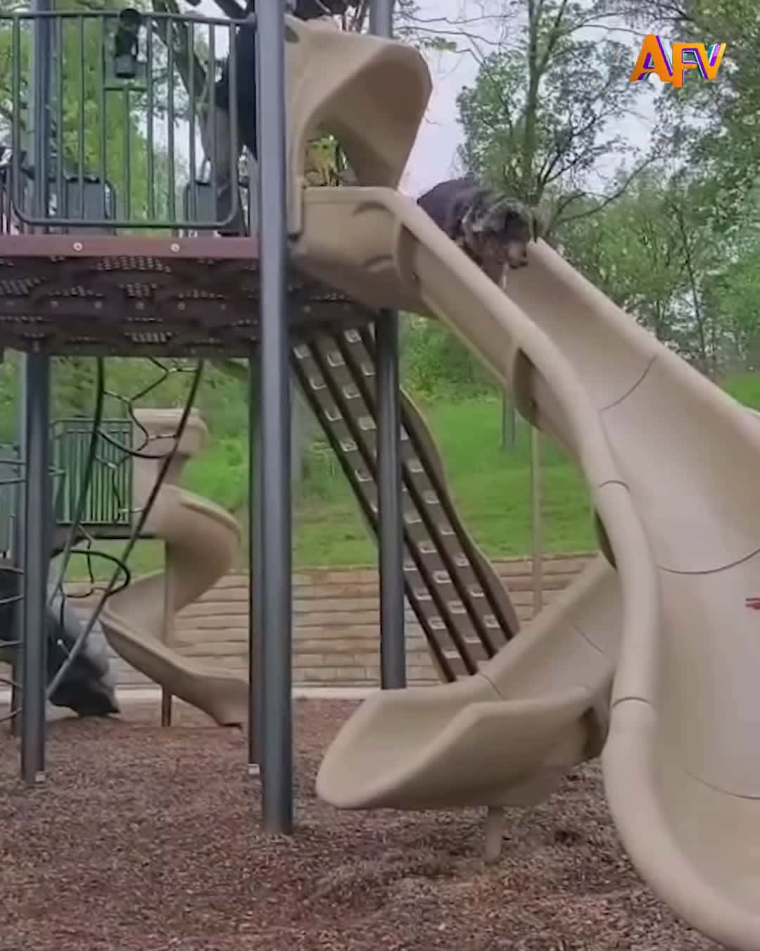 Cover for Swing sets and silly stunts!