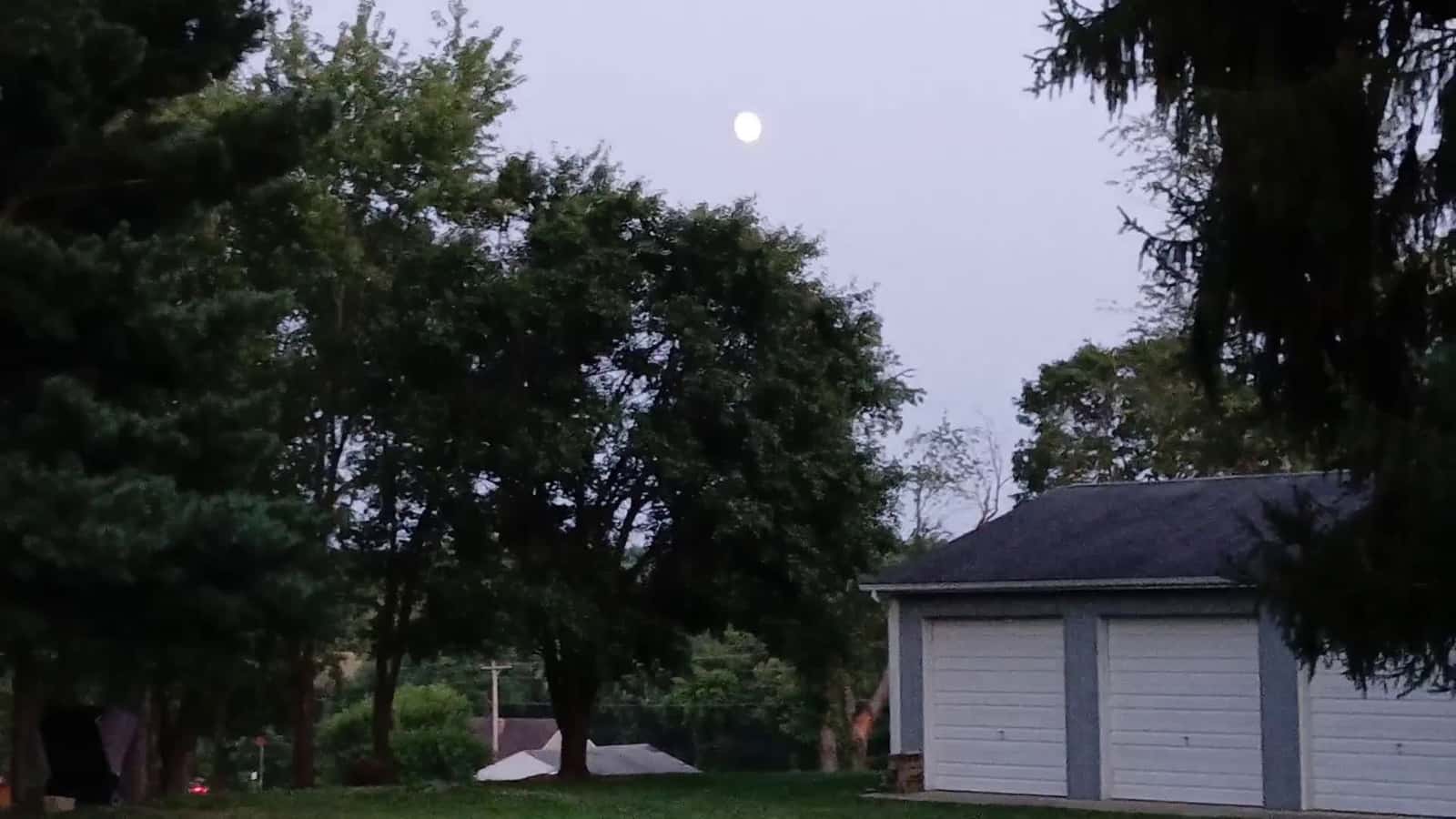 Cover for Moon-shine