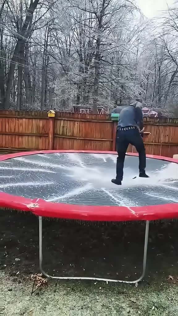Cover for Happiness after an icestorm satisfying ice asmr fyp oddlysatisfying 71405 #trending