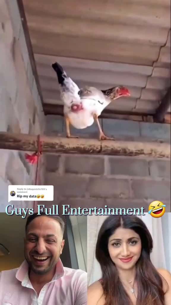 Cover for Replying to juliuquickfix100 funny chicken prank video foryou tiktok krishjee 30 22715 #nicevideo