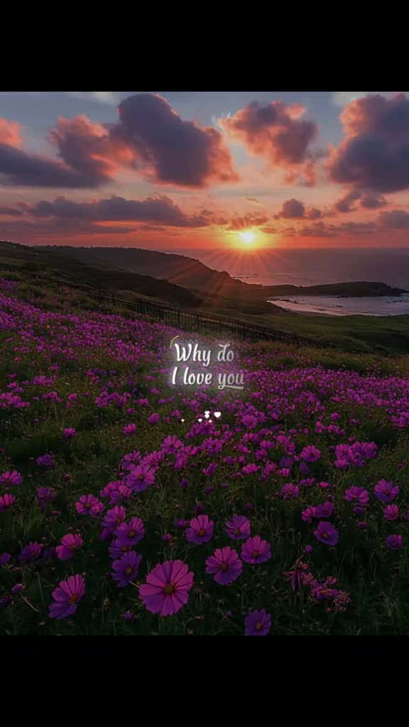 Cover for lovequotes lovequote quoteslove 86574 #shortvideos