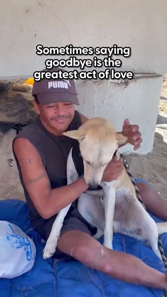Cover for In Memory of Juan Carlos This woman s dog hit it off with another dog on the beach - and s 63319 #nicevideo