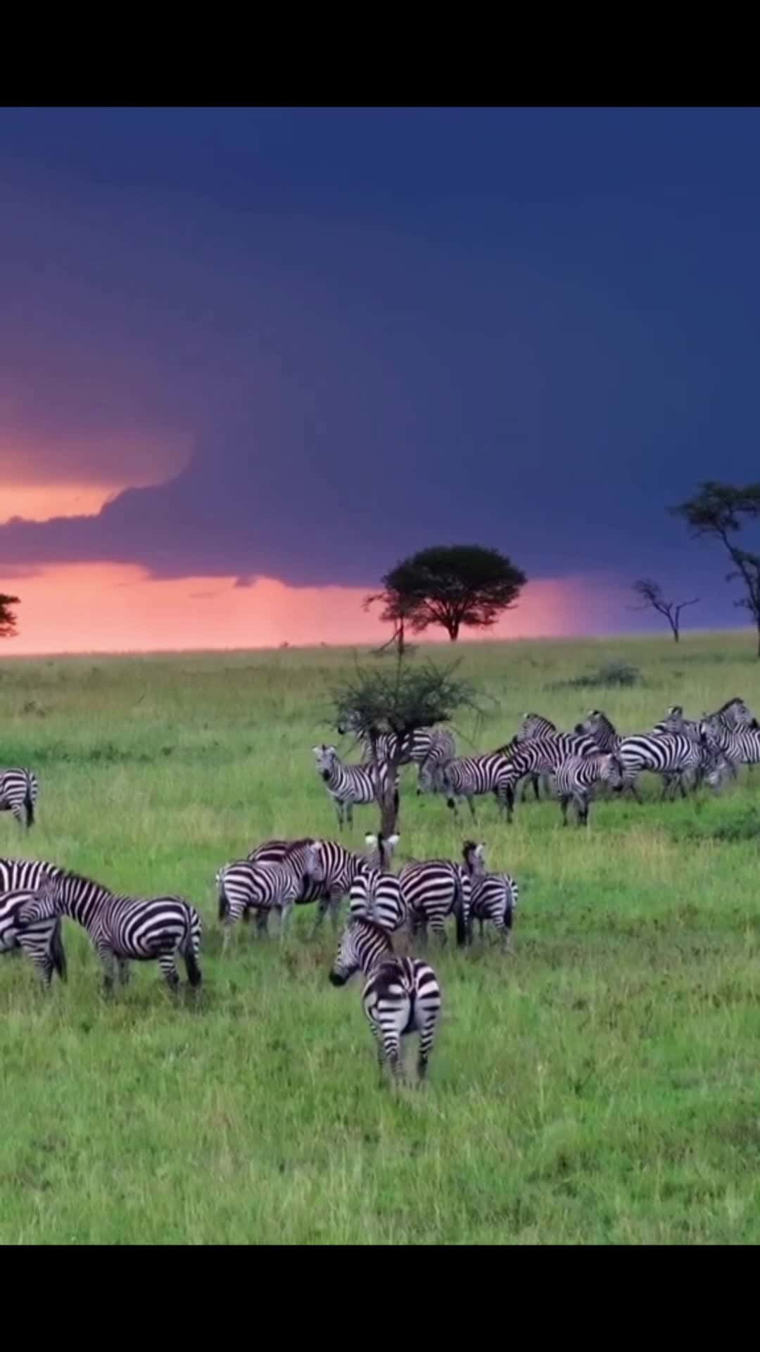 Cover for real beauty #Nature