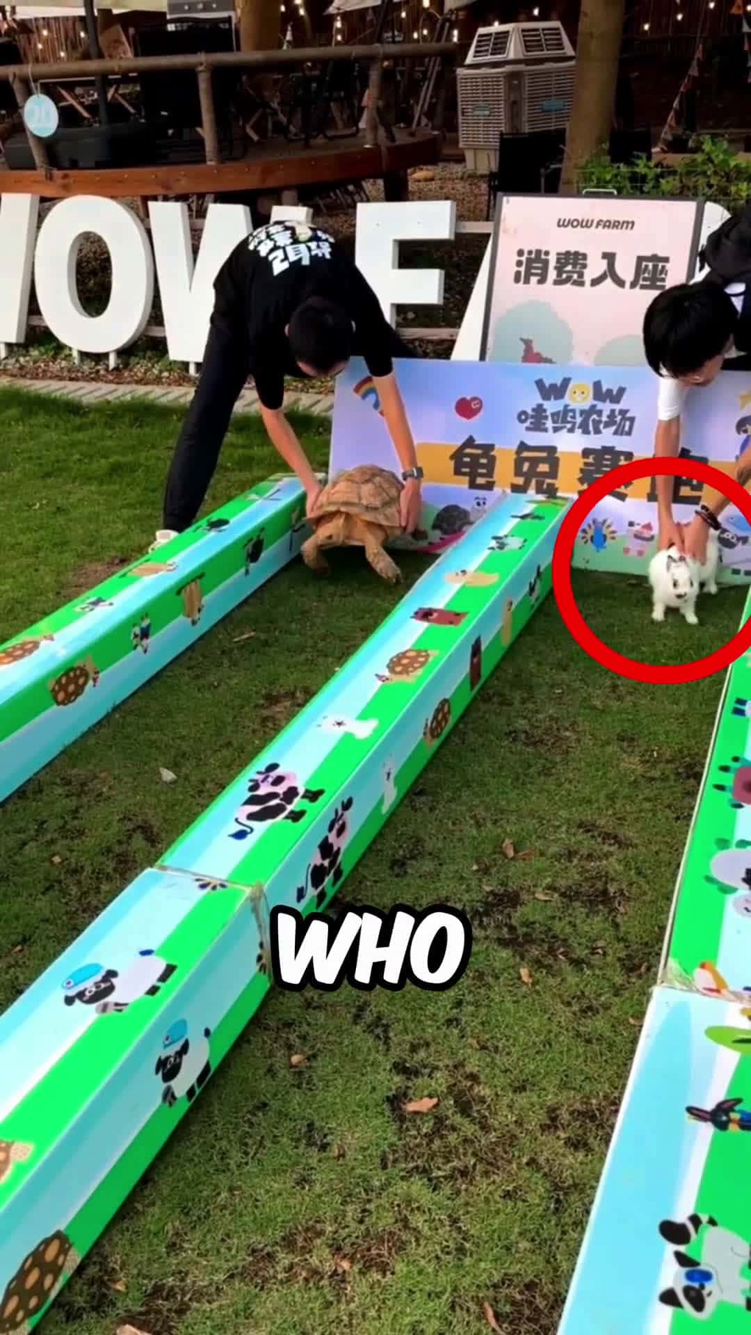 Cover for Tortise Vs Rabbit Who will win