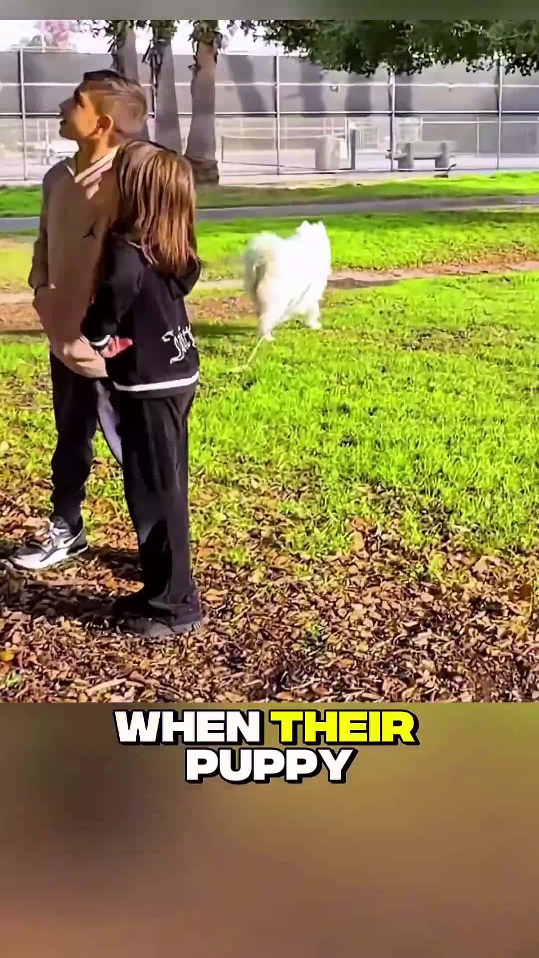 Cover for Lost Puppy Adventure in the Park Goes Unexpectedly Heartwarming #scoopzanimalvideo 