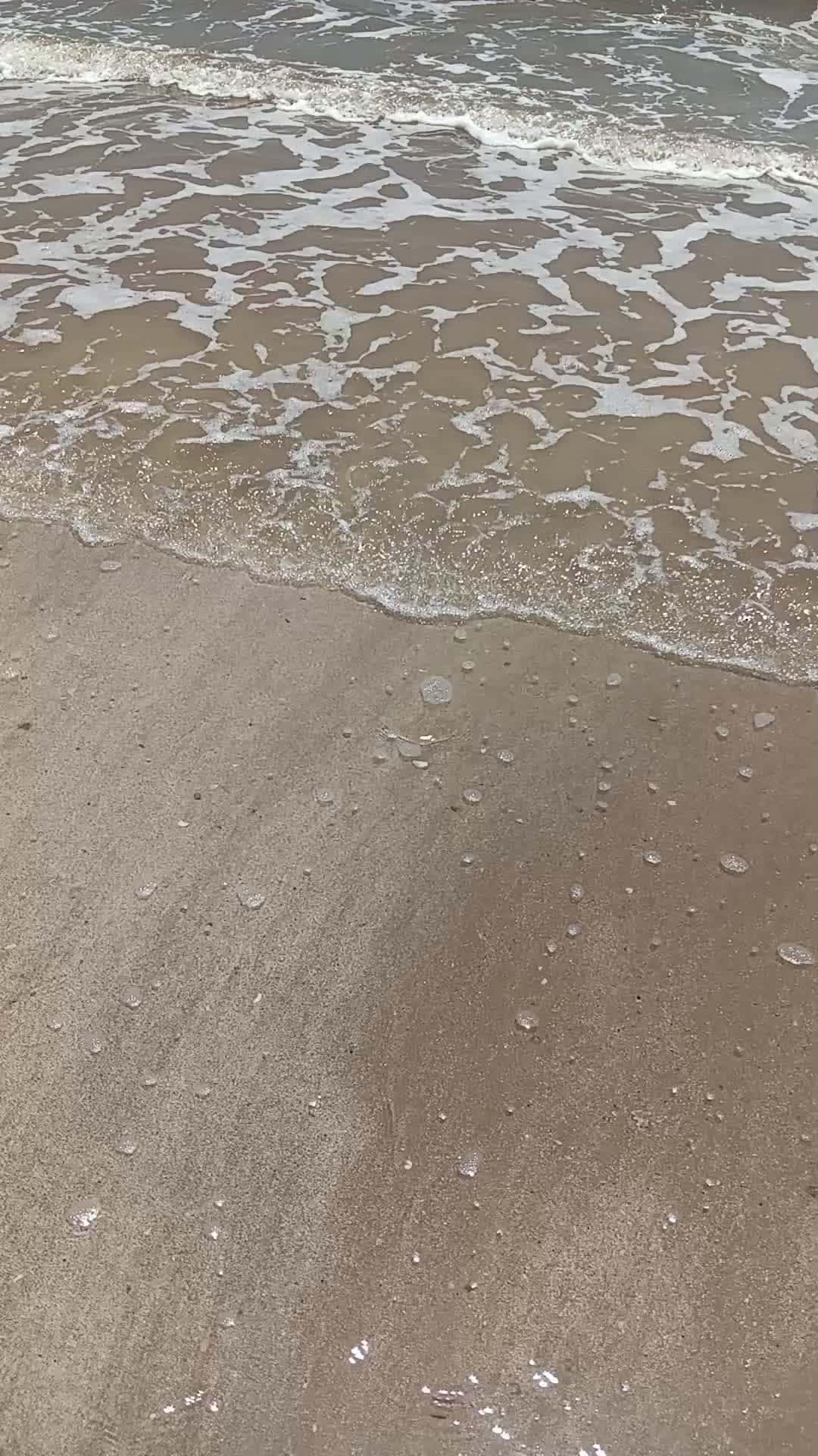 Cover for #poohventures#crystalbeach#texasbeach