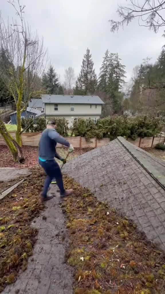 Cover for Ultimate Cleaning Lawn Care ASMR So Satisfying You ll Want to Clean uncloggingdrains cutti 59915 #america