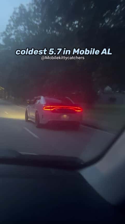Cover for gotta be top 3  #mobilealabama  #mobilekittycatchers  #alabama