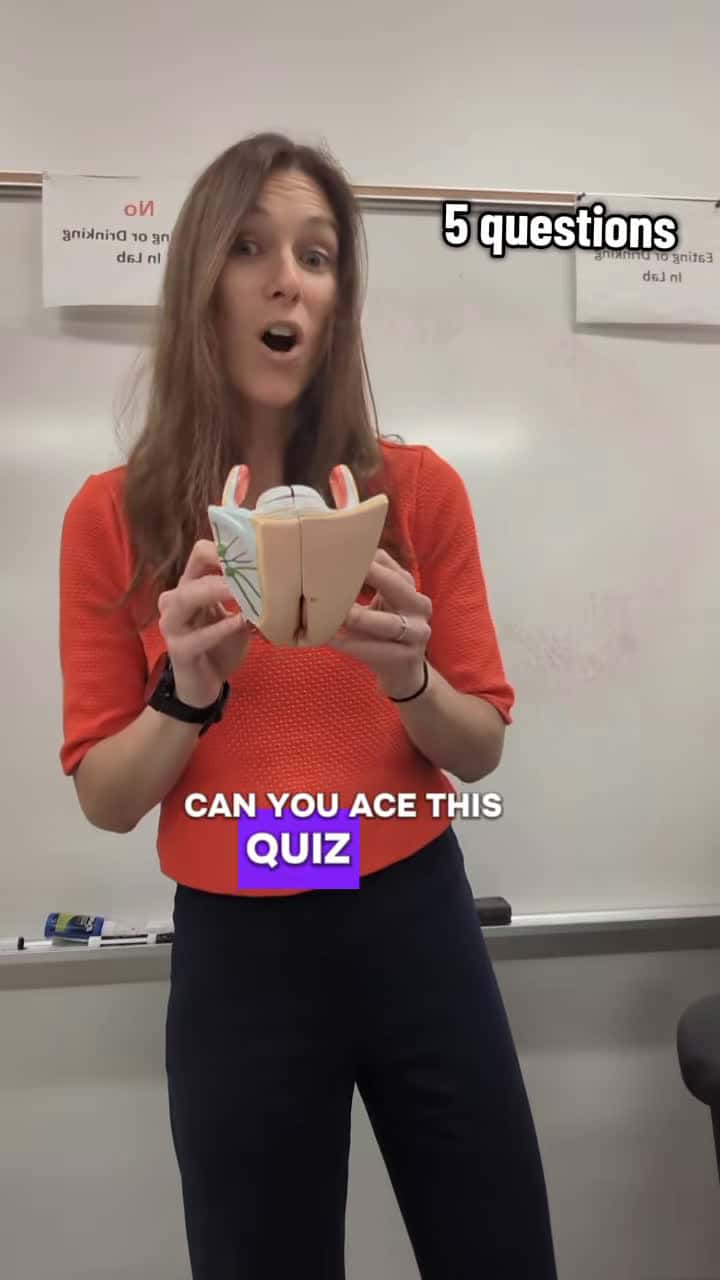 Cover for #anatomy #edutok #tiktoklearningcampaign #studywithme #studyhacks #learnwithme #stemeducator #educationalvideo #stem #educate #learnfromme #anatomyandphysiology #femalereproductivesystem #quiz #studytok #teachersoftiktok