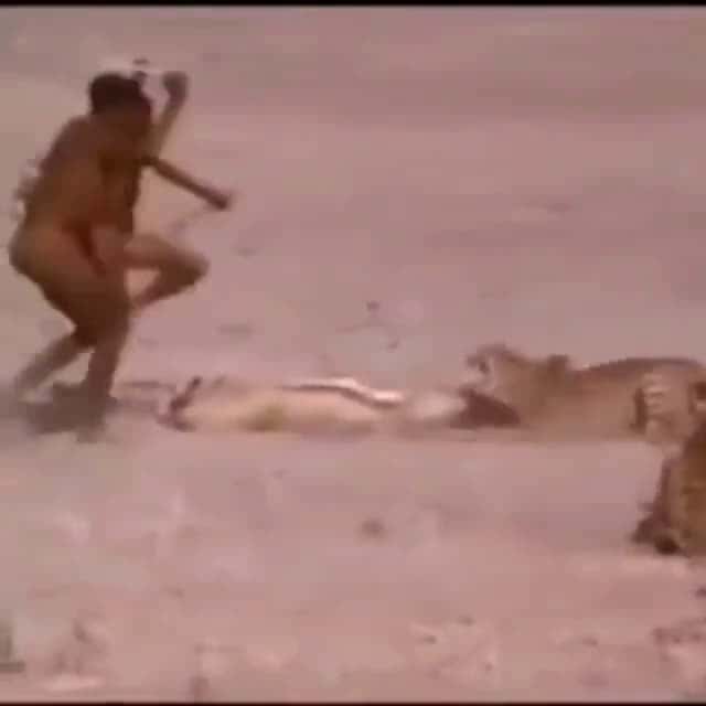 Cover for How two San tribesmen use just a stick to control wild animals — no tech, just ancient skill. 🏹🌍 #FirstVideoChallenge