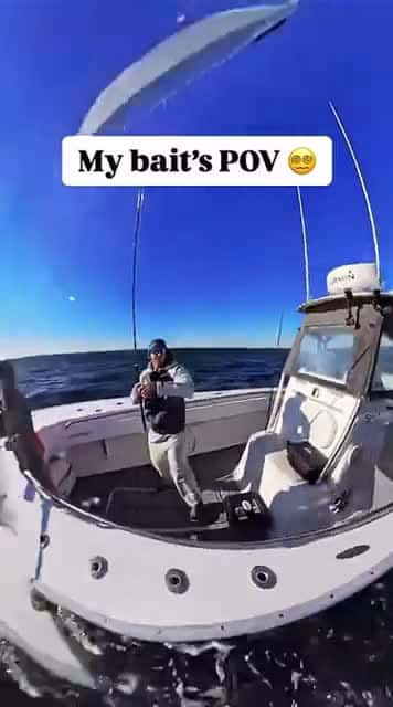 Cover for Fishing 🎣 Bait POV.. 😎
