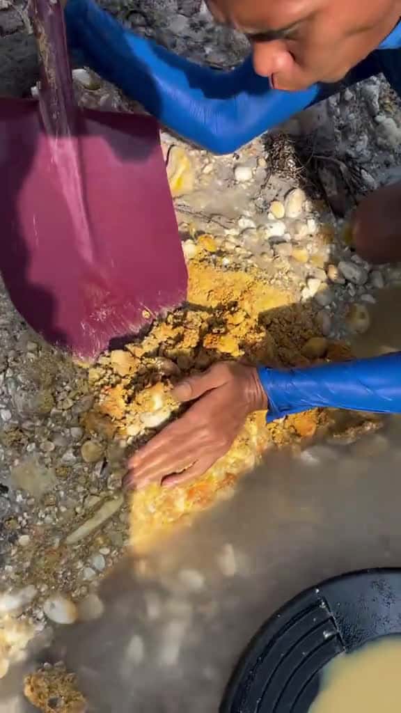 Cover for Gold and river gold goldpanning mininggold goldhunter goldprospecting 80814 #trending