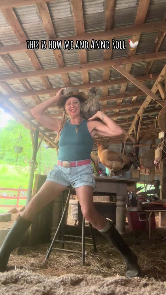 Cover for #thegoodshepherdnatalie #ANND #behindbarnway #silkie #rooster  created by Natalie with LuLu_Production’s Western American Rock Power