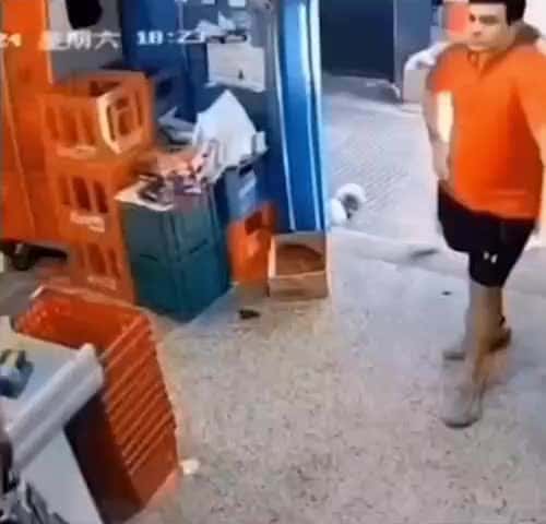 Cover for I BET HE LEARNED HIS LESSON NOW🤣🤣🤣🤣 #Tiktok #viral #video #funny #fyp ##lmao #lol #explorepage #likeforlikes #comedy #music #Comment #tbt #trend #ad #energy #growth #humor #memes #reels #relax #usa #wellness #Youtube #shorts #laugh #funniestmemes #memesfunny #funnymemes #funnyreels #funnymoments #india #foryou #instagram #instagood #instadaily #insta #love #explorepage #reelitfeelit #reelsinstagram #party #bhfyp #positivevibes #chillin #winter #viralpost #viralchallenge #fypツ #funnymoments