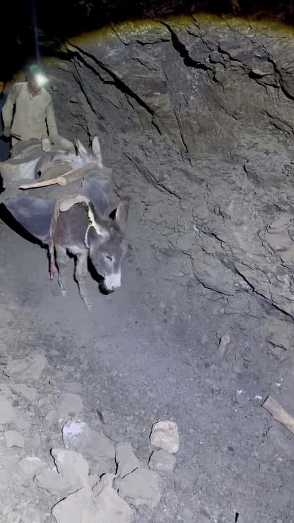 Cover for Donkeys play important role in deep mining tunnels tunnles deepdiging Minecraft blackdiamo 06561 #trendingscoopz