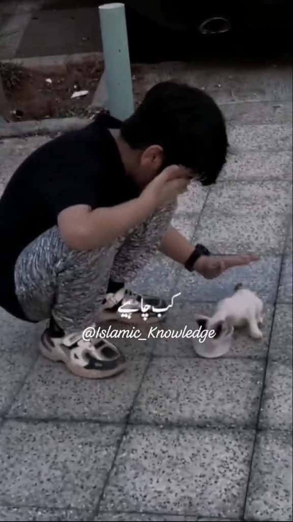 Cover for islamic video islam islamicinspiration makkah madinah foryoupage grow grow trending viralt 67488 #trending