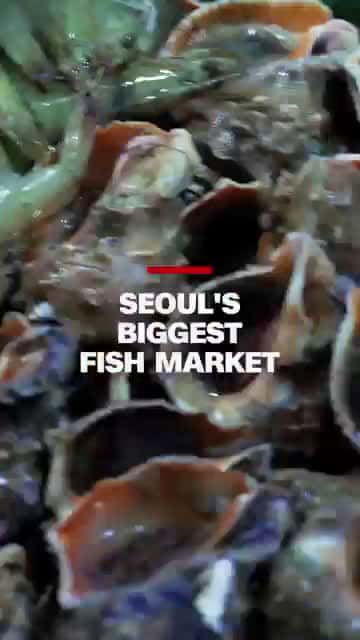Cover for Seoul’s biggest seafood market is a feas