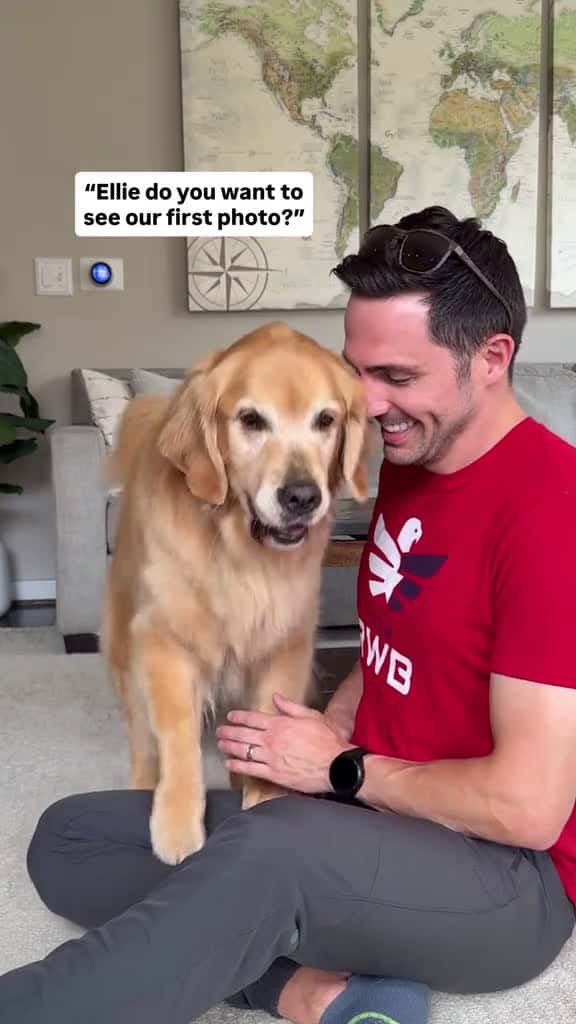 Cover for how has it been 9 years!?! 🥺 #goldenretrieverlife #dog #smile #puppy #bffs created by Golden Retriever Life with Paloma Faith’s Only Love Can Hurt Like This (Slowed Down Version)