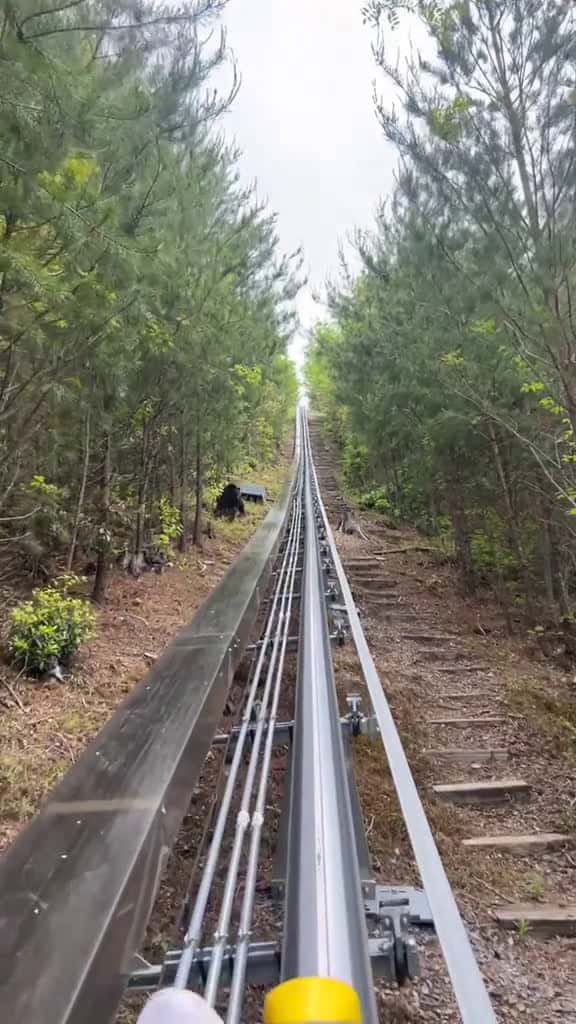 Cover for That moment you have a close encounter with BEARS PS..I had no control of how slow it was 63726 #trendingscoopz