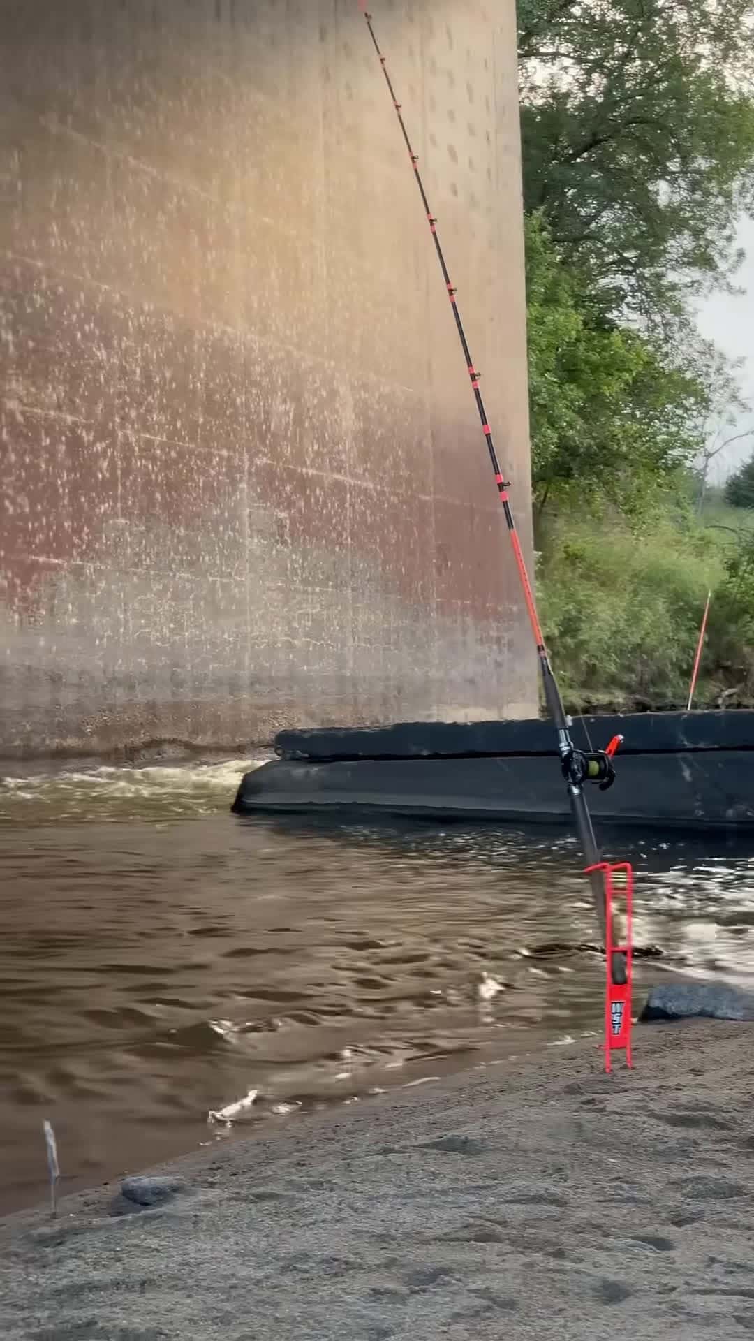 Cover for Got The WhiskerSeeker Rods Lined up Waiting for a bite Code Dinger15 for 15 OFF