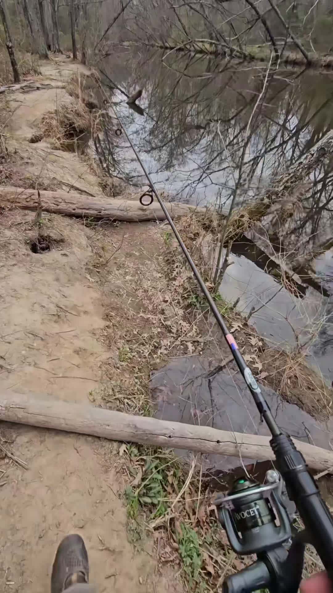 Cover for #FirstVideoChallenge Catching shad with @Maryland Sharks