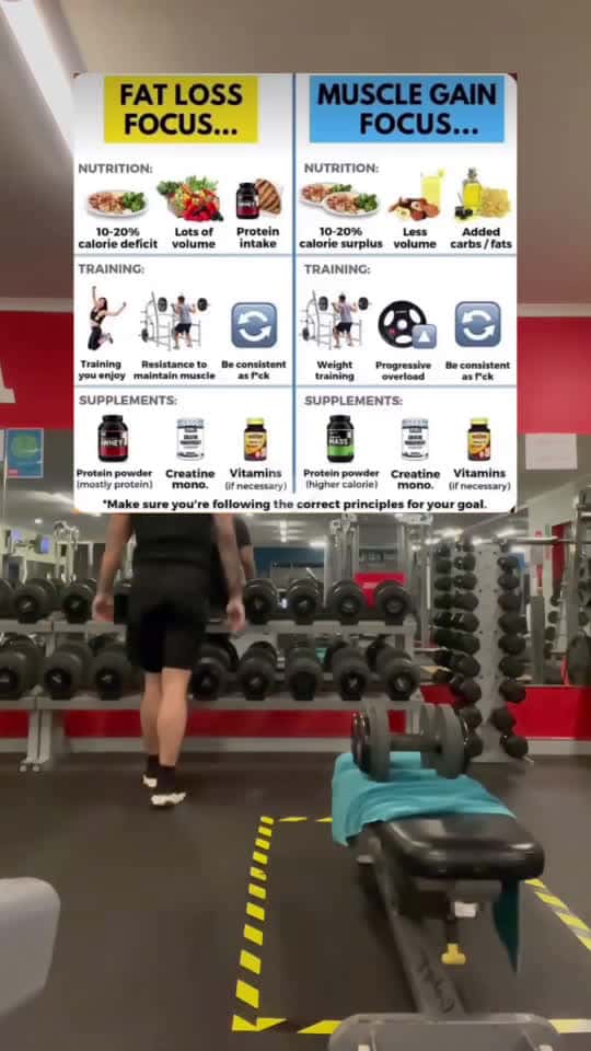 Cover for Fat Loss VS Muscle Gain! Your path depends on your goal. #fitness #gym #diet #weightloss #muscle #weightlifting #foryoupage #food #health