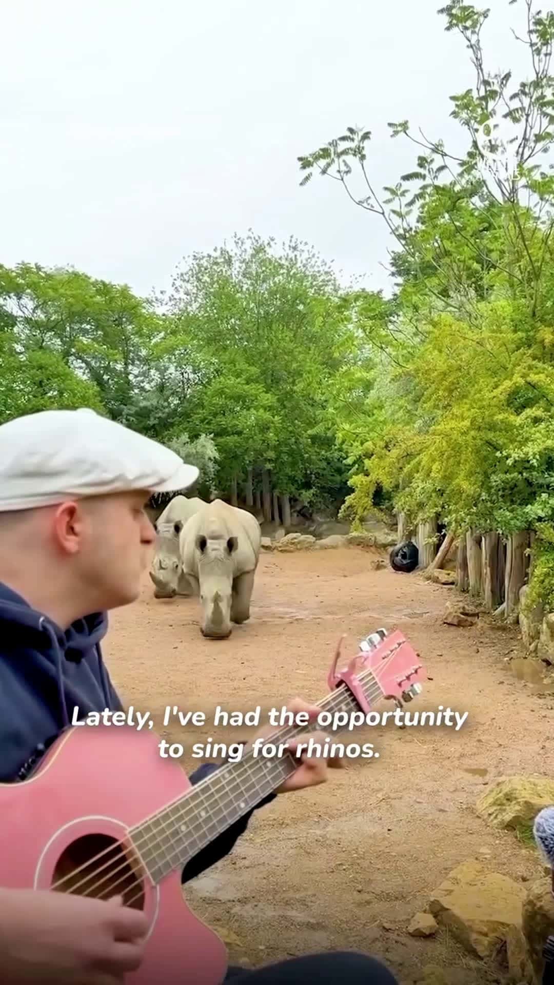 Cover for This man starts singing, and the animals’ reaction is better than any applause ❤️🥹