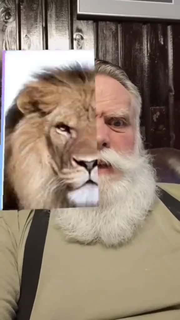 Cover for Funny animals twin filter funnyfilters funnyvideos animalfilter characterfilter fyp 31050 #nicevideo