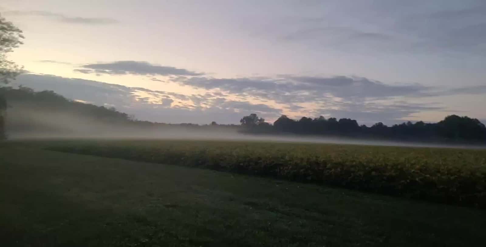 Cover for Late Fall, Morning fog near the Coan River