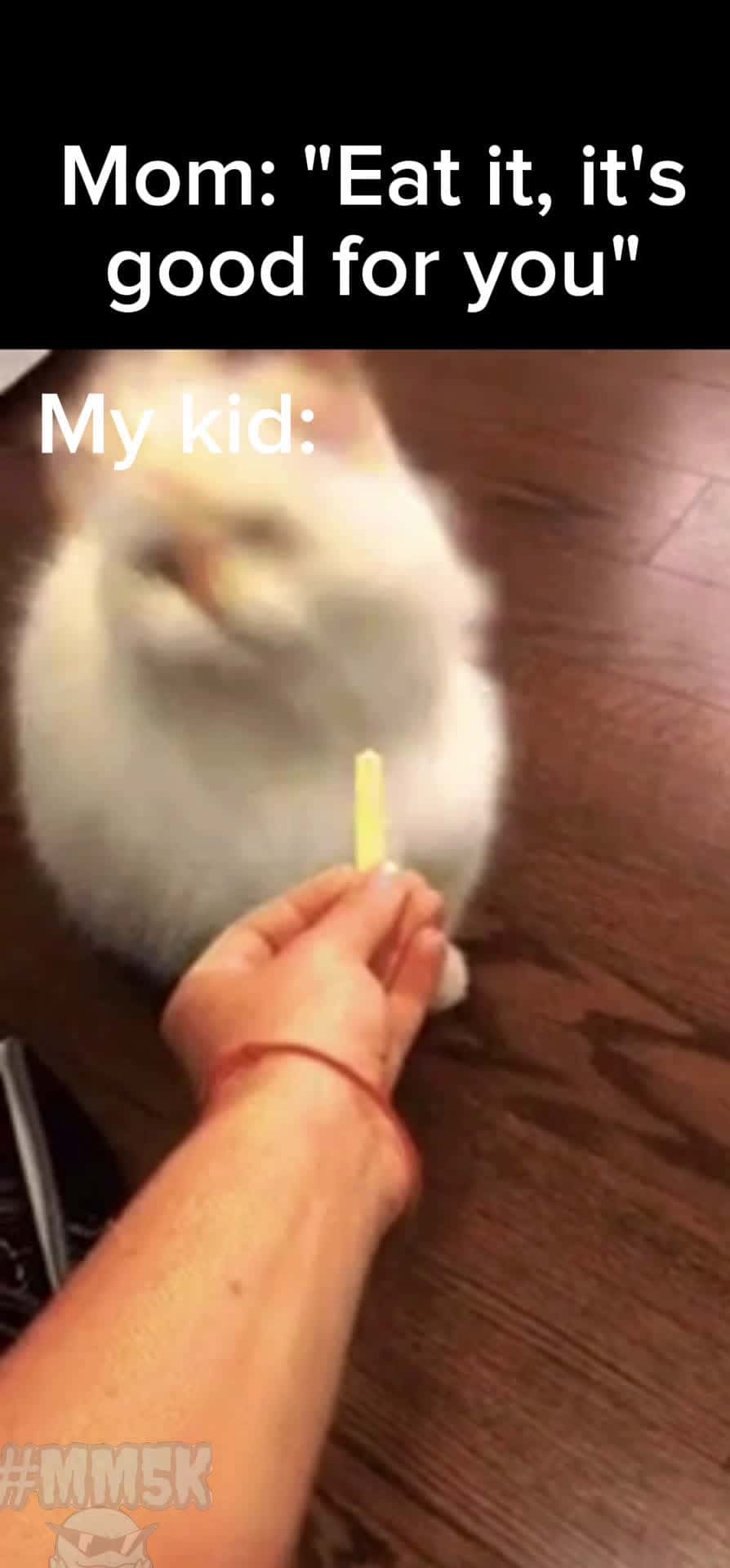 Cover for Chicken nuggies or bust 🙅‍♀️ #funny #meme #memes #streamer #streaming #livestream #stream #fyp