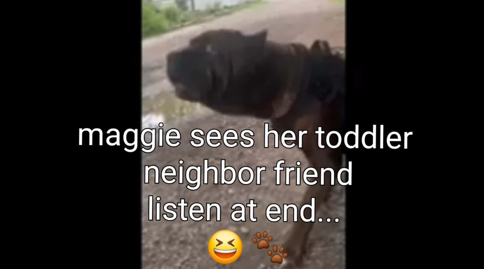 Cover for maggie love mimi ....  #fyp  #viralvideo  #dog 